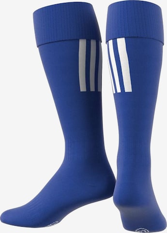 ADIDAS SPORTSWEAR Soccer Socks 'Santos 18' in Blue: front
