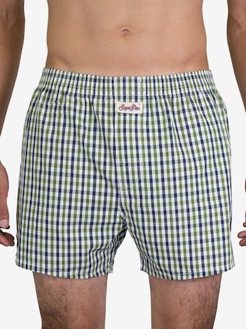 Sugar Pine Boxershorts 'Classic Check' in Groen: voorkant