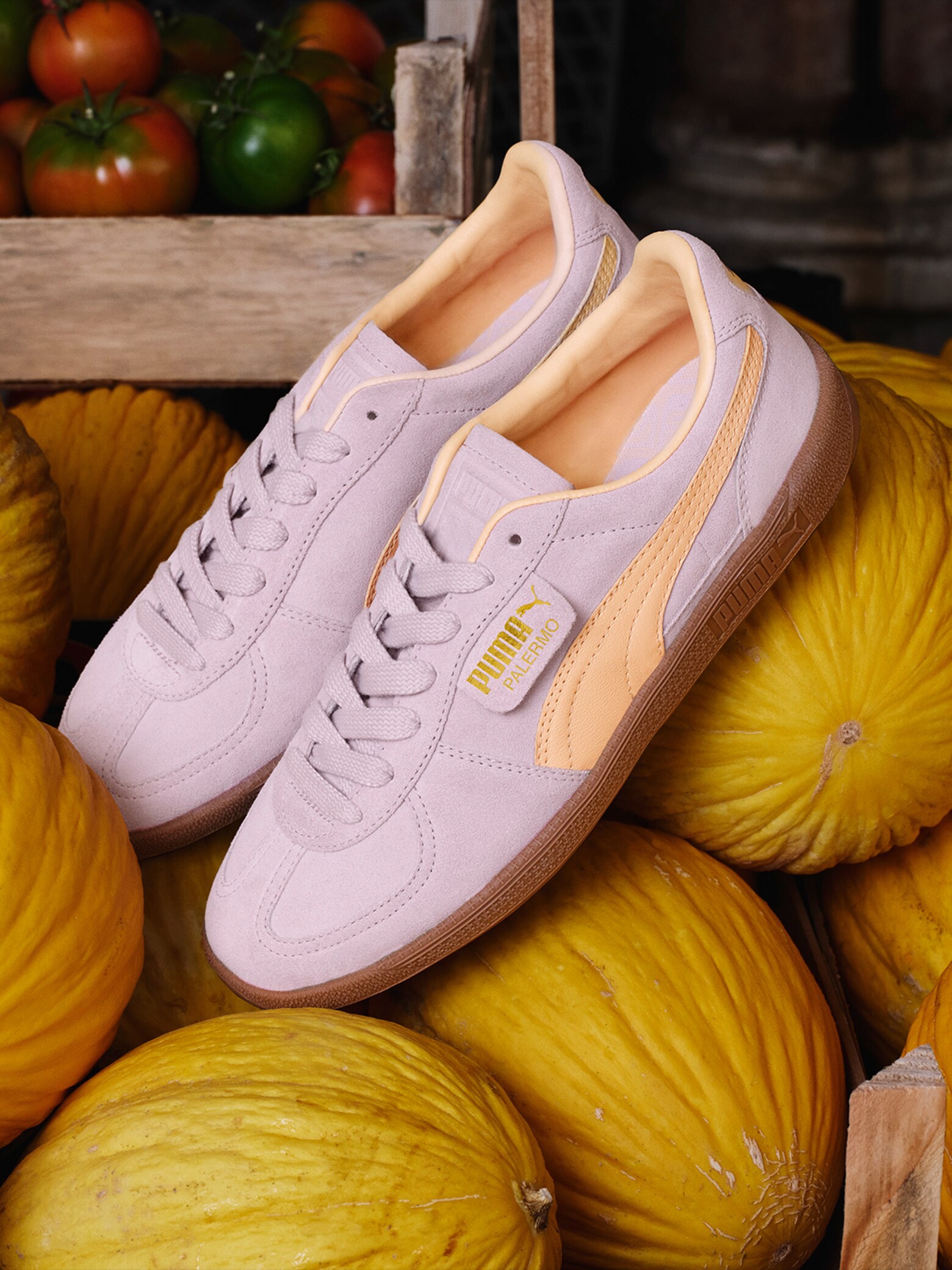 PUMA null -