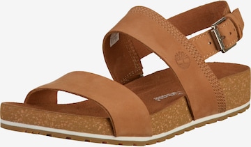 TIMBERLAND Strap Sandals in Brown: front