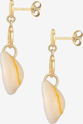 ELLI Earrings 'Muschel' in Gold