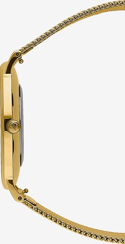 Paul Hewitt Uhr in Gold