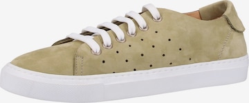 Darkwood Sneakers in Green: front