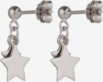 ABOUT YOU Earrings 'Alessa' in Silver: back