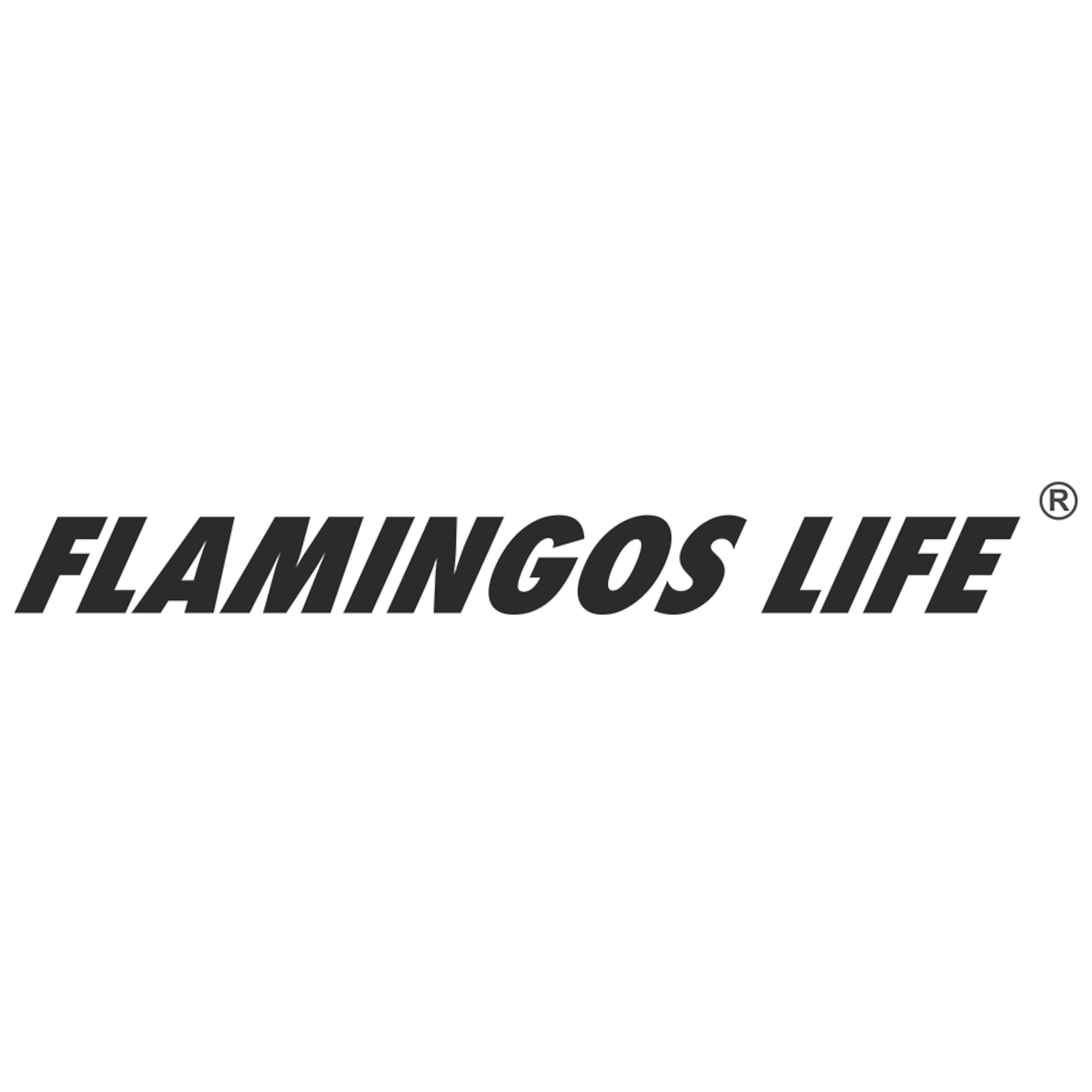 Flamingos' Life