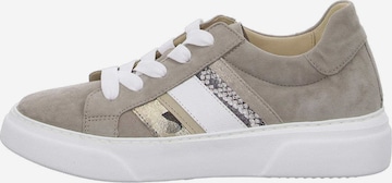 GABOR Sneakers in Grey