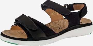 Ganter Sandals 'Gina' in Black: front