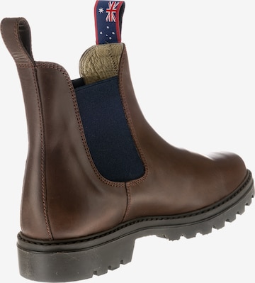 Blue Heeler Chelsea Boots 'Jackaroo' in Brown