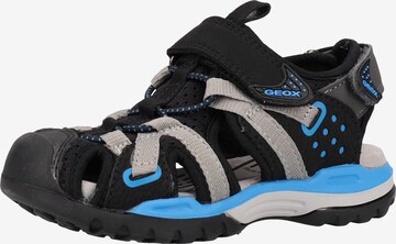 Chaussures ouvertes GEOX en noir : devant