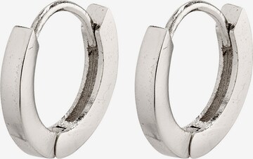 Pilgrim Earrings 'Arnelle' in Silver: front