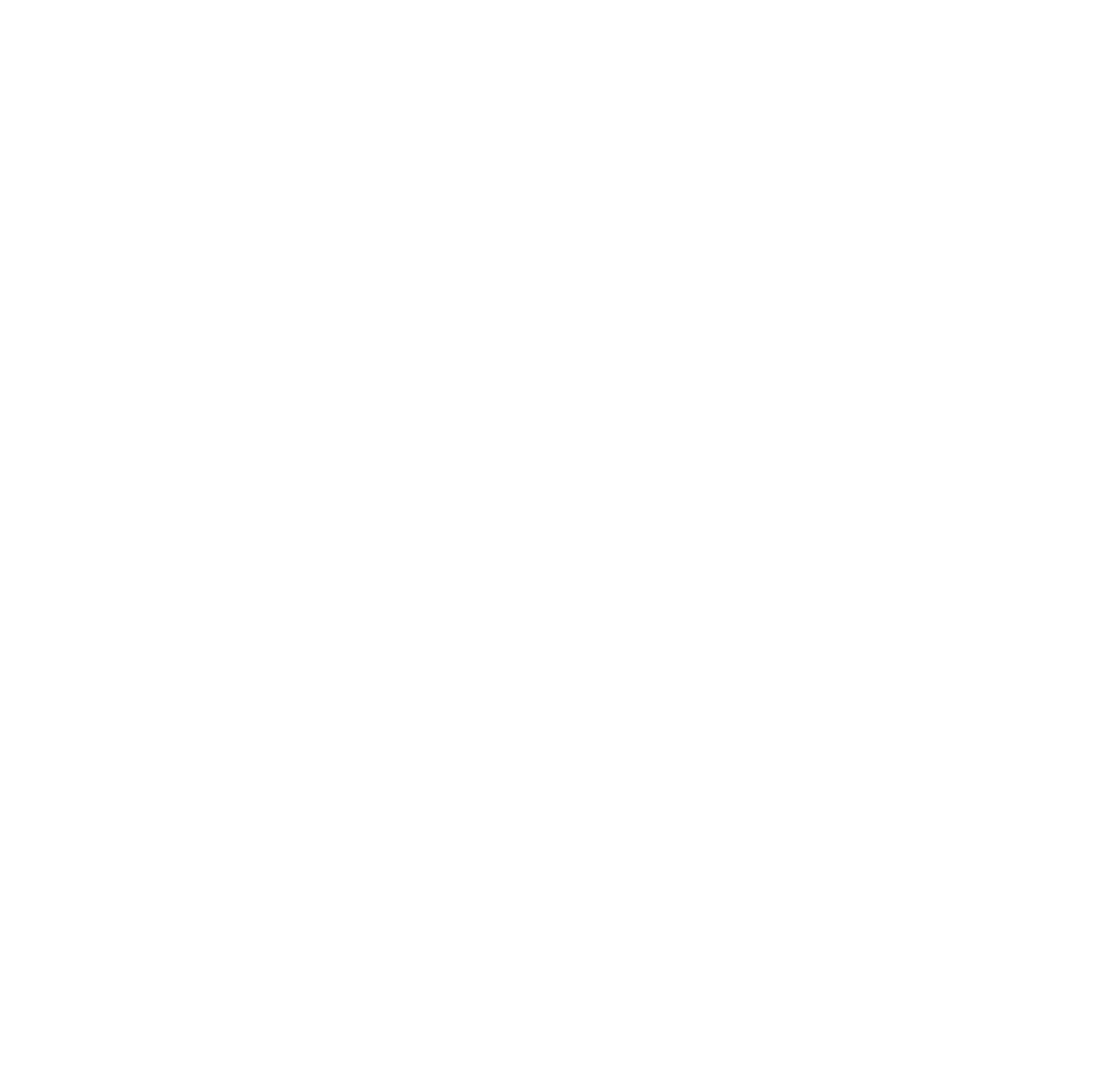 Napapijri Logo