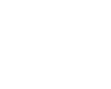 P.E Nation Logo