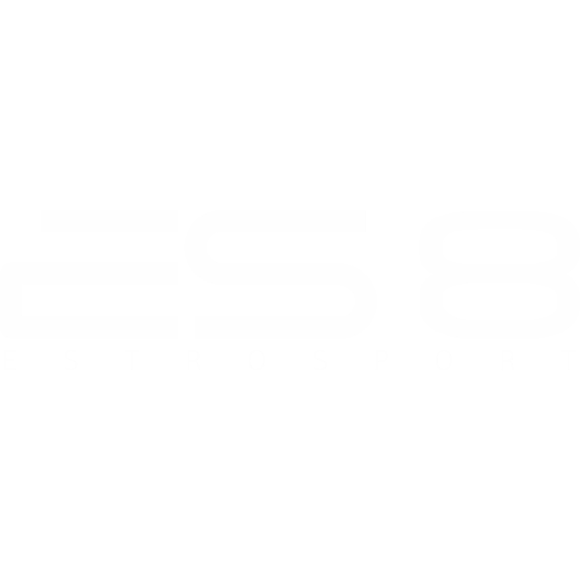 ES8 Logo