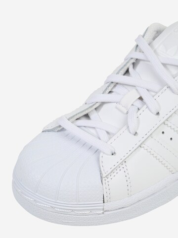 Sneaker 'Superstar' de la ADIDAS ORIGINALS pe alb