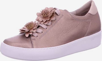 Paul Green Sneakers in Pink: front