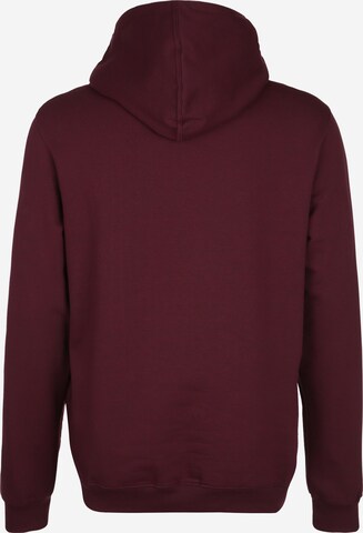 Iriedaily Sweatshirt 'Daily Flag' in Rood: terug