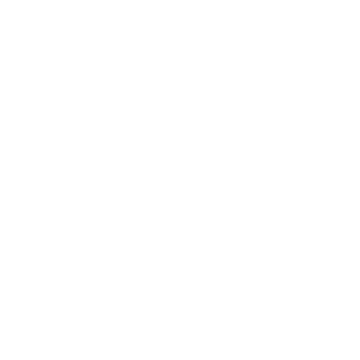 PAIGE Logo