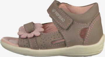 Pepino Sandals in Grey