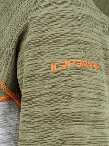 ICEPEAK Regular fit Sportjas 'BOLOGNA' in Groen