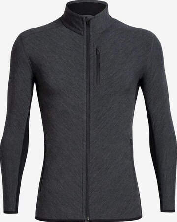 ICEBREAKER Athletic Fleece Jacket 'Descender' in Grey: front