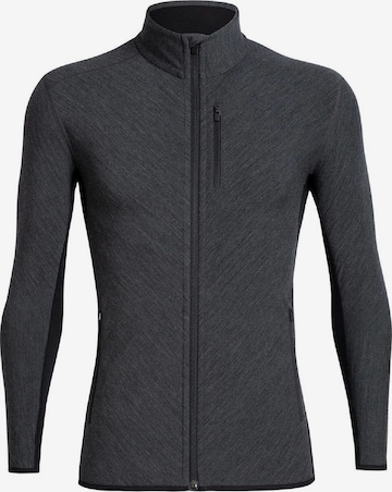 ICEBREAKER Функциональная флисовая куртка 'Descender' в Серый: спереди