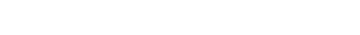 BALDININI Logo