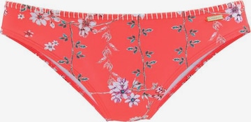 SUNSEEKER Bikini nadrágok 'Ditsy' - piros: elől