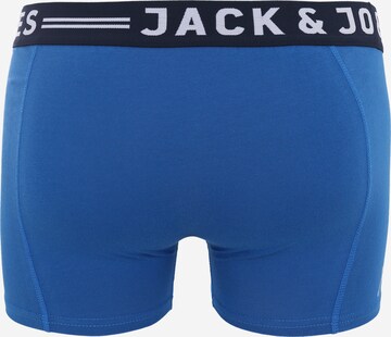 JACK & JONES Шорты Боксеры 'Sense' в Синий: сзади