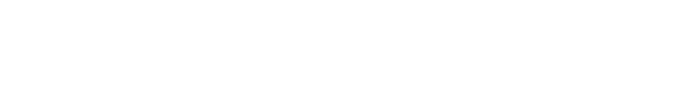 Opus Logo