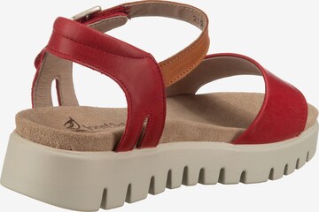 JOSEF SEIBEL Strap Sandals 'Thea 05' in Red