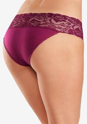 VIVANCE Panty in Mixed colors