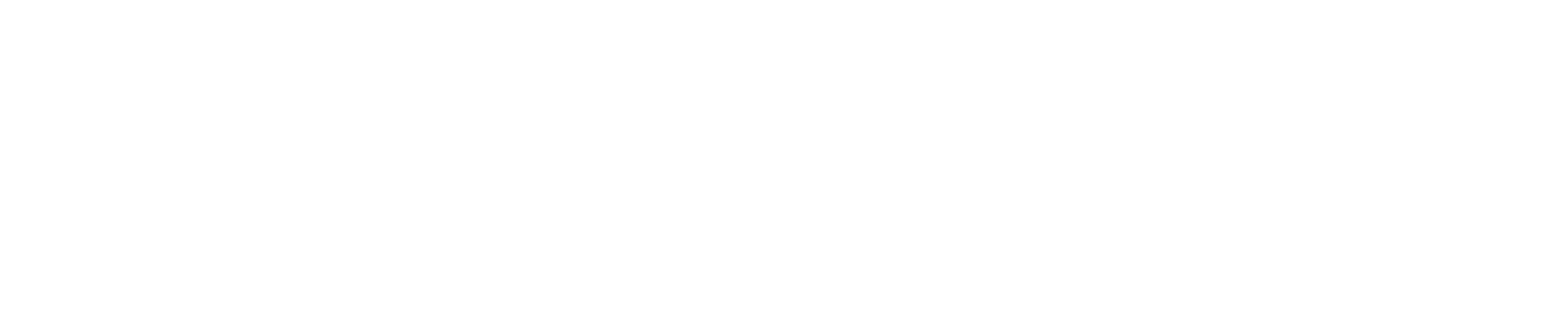 Selected Femme Logo