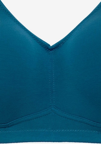 regular Reggiseno di PETITE FLEUR in blu