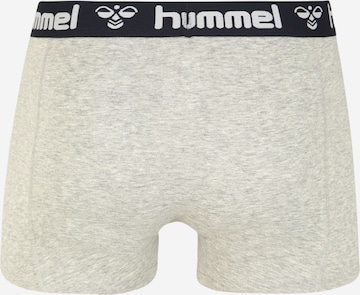 Hummel Boxershorts 'Mars' in Blau