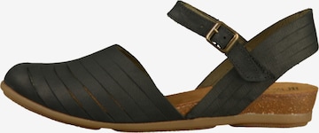 EL NATURALISTA Sandals in Black