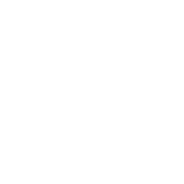 Steffen Klein Logo