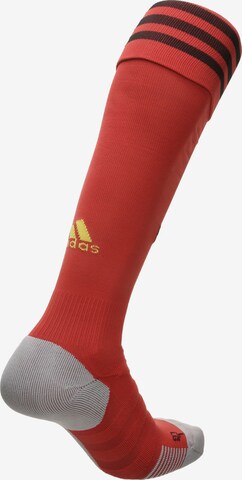 ADIDAS PERFORMANCE Stutzen 'Home EM 2020 RBFA Belgien' in Rot