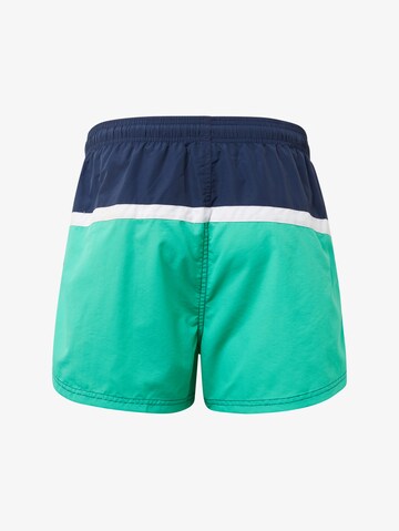 TOM TAILOR Regular Badeshorts in Grün