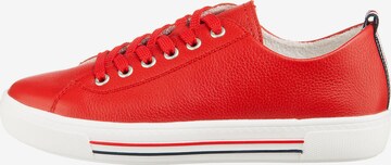 Sneaker bassa di REMONTE in rosso