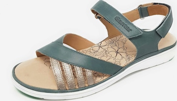 Ganter Sandals in Green: front