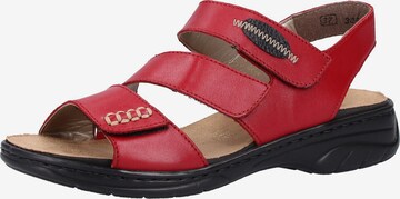 Rieker Sandalen in Rot: predná strana