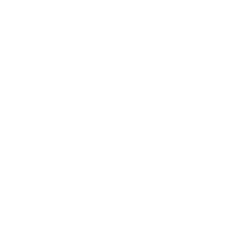 Brandit Logo