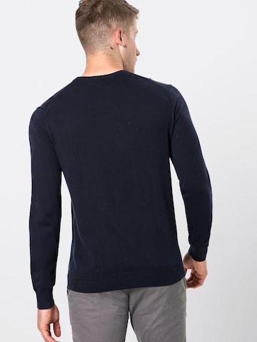 Polo Ralph Lauren Sweater in Blue: back