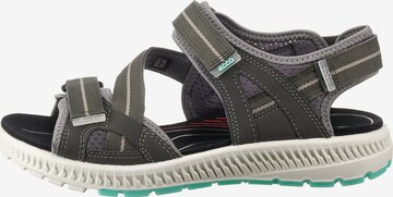 ECCO Sandalen 'Terra' in Grau