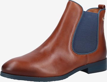PIKOLINOS Chelsea boots 'Royal' in Bruin: voorkant
