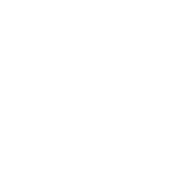 DESOTO Logo