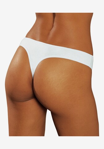 PETITE FLEUR - Tanga em branco: frente