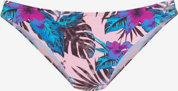 rozā VENICE BEACH Bikini apakšdaļa 'Marly': no priekšpuses