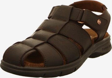 PANAMA JACK Sandalen in Braun: predná strana