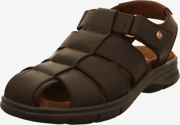 PANAMA JACK Sandals in Brown: front